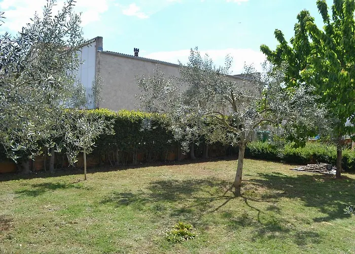 Din-pula Apartment *