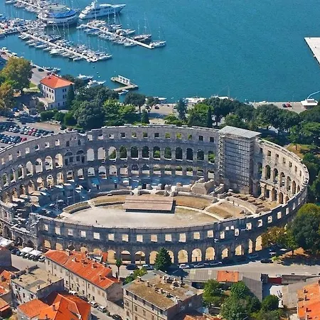 Din-pula *
