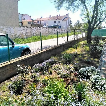 Din-pula Apartmán Pula
